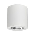 LED Fixture SP-FOCUS-R140-30W 3000K WH