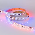 Taśma 5m DMX 5060 24V RGB Cx6 LED 14.4 W/m