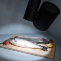 Oprawa LGD SHOP 4TR R100 40W7500K Fish