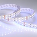Taśma 5m 24V RGBW 4000K 720  LED 32 W/m 19 mm