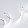 LED Strip RT 2-5000 24V 6000K 600 LED