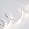 LED Strip RT 2-5000 24V 4000K 600 LED