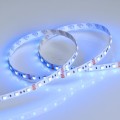 Taśma 5m 12V RGB 300 LED 14.4 W/m