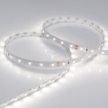 Taśma 5m 24V 4000K 300 LED 4.8 W/m