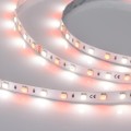 Taśma 5m 24V RGBW 4000K 300 LED 14.4 W/m