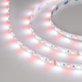 Taśma 5m 24V RGBW 6000K 300 LED 14.4 W/m