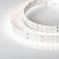 LED Strip RT 2-5000 24V 4000K 980 LED