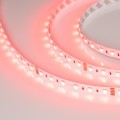 Taśma 5m 24V RGBW-One 6000K 300 LED 19.2 W/m