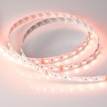 Taśma 5m 24V RGBW-One 2700K 300 LED 19.2 W/m