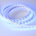 Taśma 5m 24V RGBW-One 2700K 300 LED 19.2 W/m