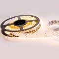 LED Strip RT 2-5000 24V 4000K 1260 LED