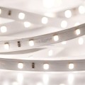 LED Strip RT 2-5000 24V 4000K 300 LED PRO